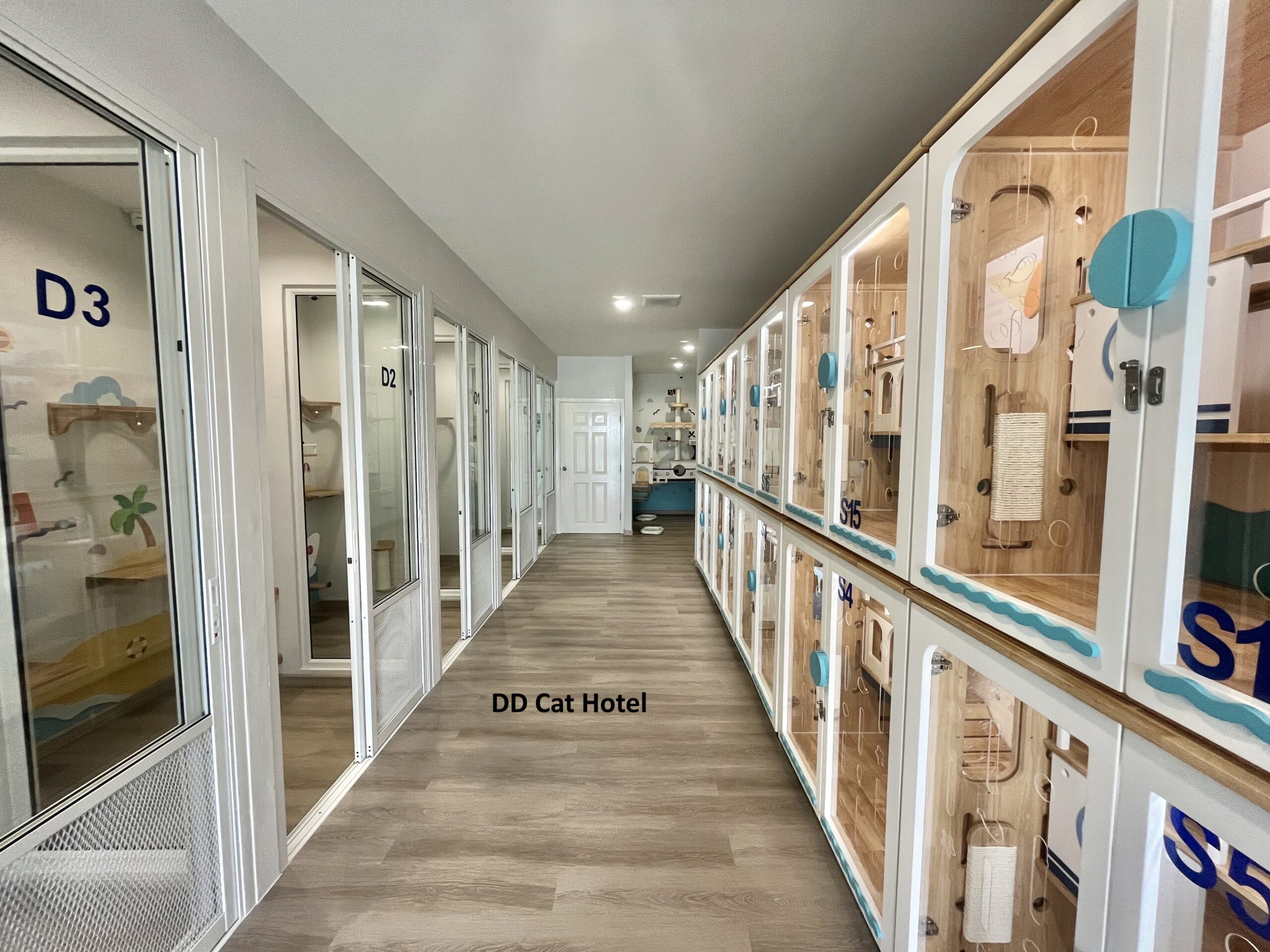 โรงแรมแมวศรีราชา