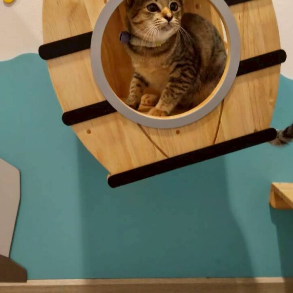 LINE_ALBUM_น้องตัวอุ่น_251103_1 LINE_ALBUM_น้องตัวอุ่น_251103_1