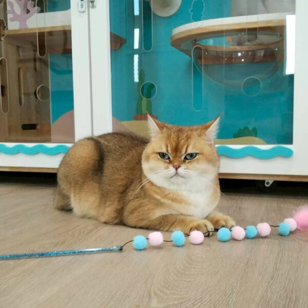 LINE_ALBUM_น้องมาช่า_250915_1 LINE_ALBUM_น้องมาช่า_250915_1